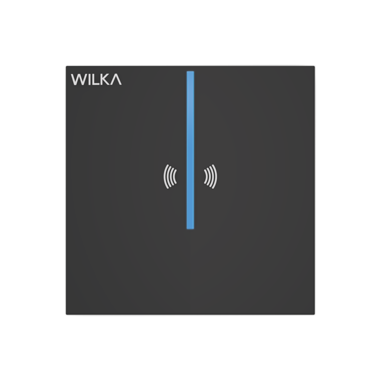 Wandleser
